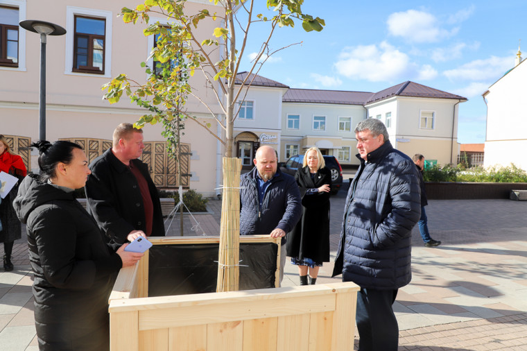 На ул. Металлистов и Крестовоздвиженской площади планируют установить защитные модули для деревьев.
