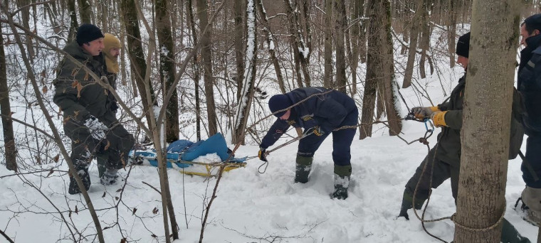 Тульские спасатели отработали навыки помощи заблудившимся в лесу лыжникам.
