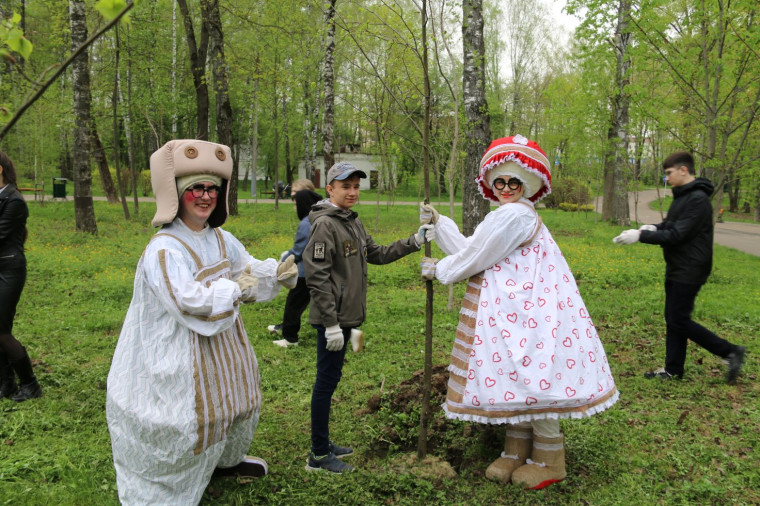 В Комсомольском парке высадили липы.