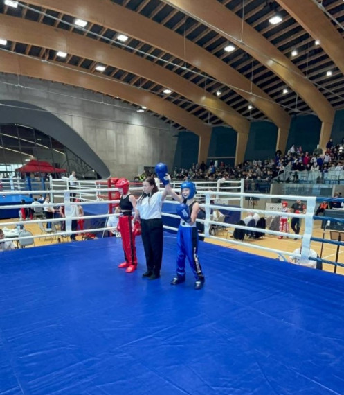 Тульские спортсмены заняли призовые места на Всероссийском турнире по кикбоксингу.