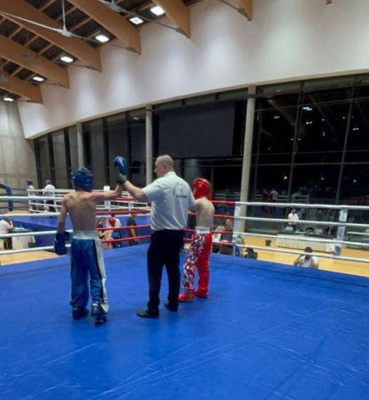 Тульские спортсмены заняли призовые места на Всероссийском турнире по кикбоксингу.